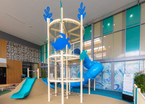 Turtle-themed playground opens at Kawana Shoppingworld
